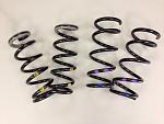 OEM IPL Springs - clean!!-springs.jpg