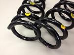 OEM IPL Springs - clean!!-springs2.jpg