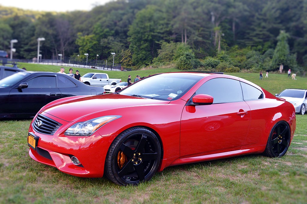 Name:  DSC_0547.jpg
Views: 49
Size:  234.1 KB