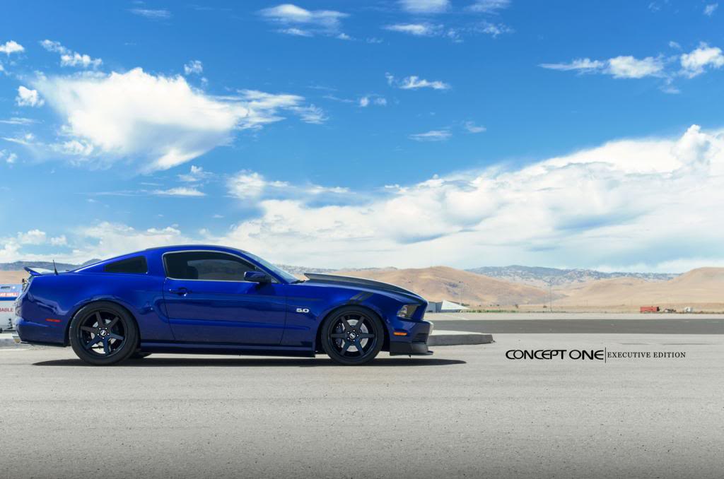 Name:  Mustang-4lr_zpsbe115ec9.jpg
Views: 75
Size:  66.6 KB