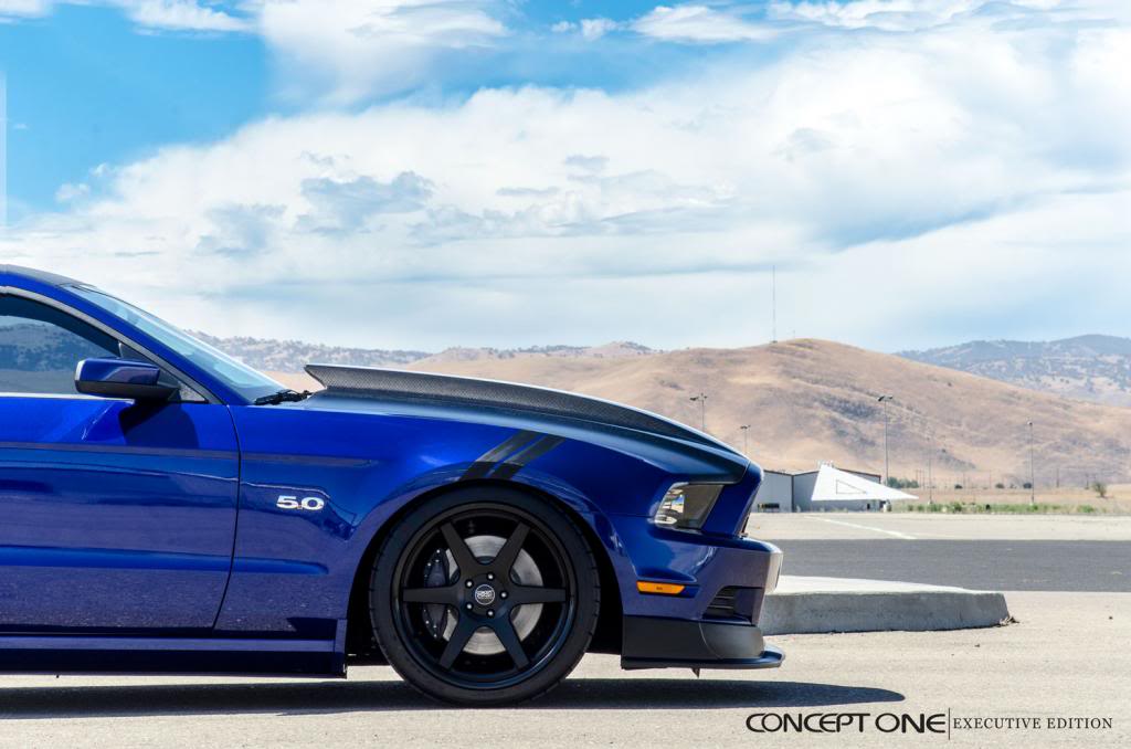 Name:  Mustanglr_zpsbb0e7ed7.jpg
Views: 99
Size:  72.3 KB