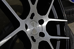 NEW Avant Garde M510 & M590 Bespoke Program - Deep Concavity + Custom Fitment!-pxci43e.jpg