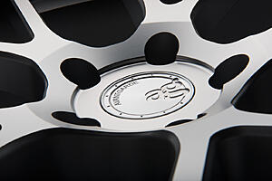 NEW Avant Garde M510 & M590 Bespoke Program - Deep Concavity + Custom Fitment!-0y0bpjz.jpg