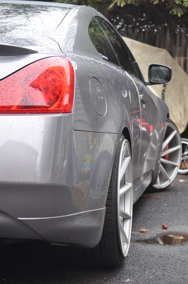 Name:  DSC_0241_zpskxggxubn.jpg
Views: 638
Size:  232.6 KB