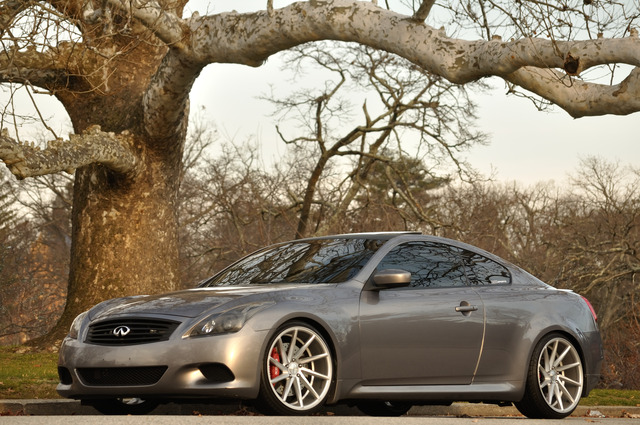 Name:  DSC_00865_zpszzuordh4.jpg
Views: 658
Size:  206.7 KB