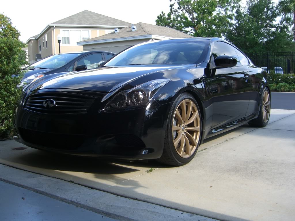 Name: CIMG2795.jpg
Views: 4347
Size: 186.0 KB