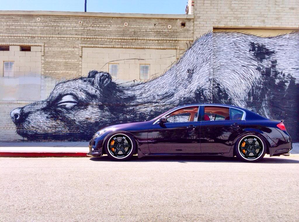 Name:  2A9E081B-CDFB-4FA6-96DA-F436E582436C_zpsqhfsdz1c.jpg
Views: 931
Size:  176.8 KB