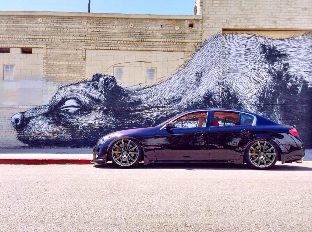 Name:  8B031550-1808-431B-AEB9-39ED2F1DC5B7_zps2epioa8l.jpg
Views: 401
Size:  176.8 KB