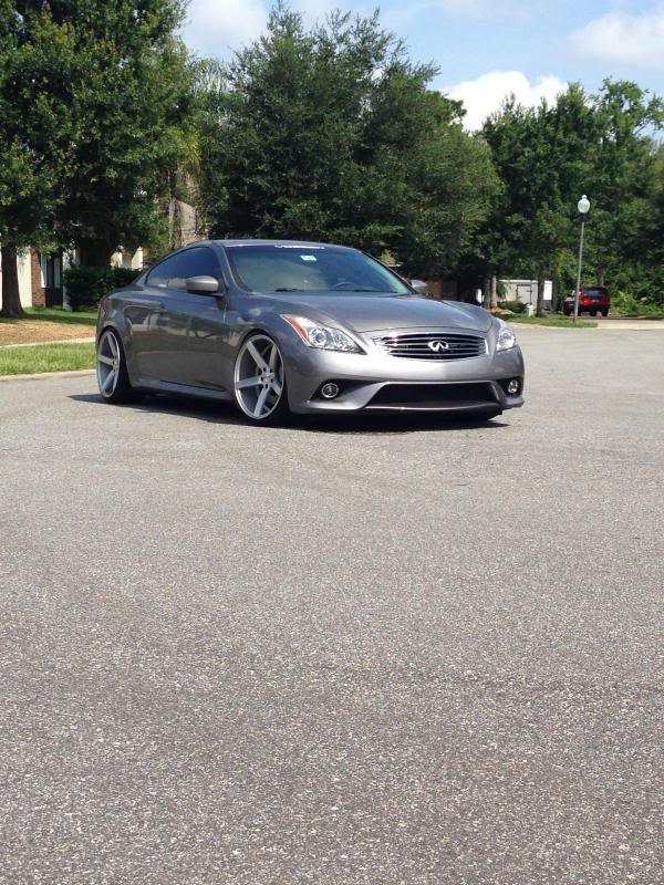 Name:  photo4_zps93fad19f.jpg
Views: 586
Size:  114.1 KB