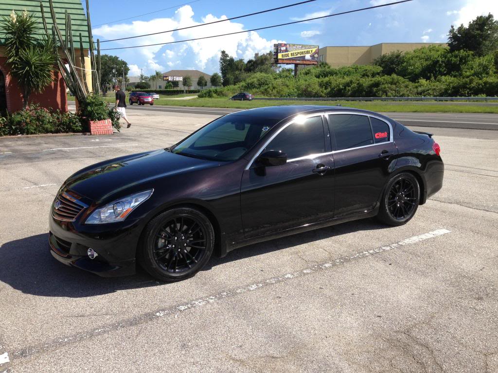 Name:  black1_zpsc8f5a803.jpg
Views: 4943
Size:  166.9 KB