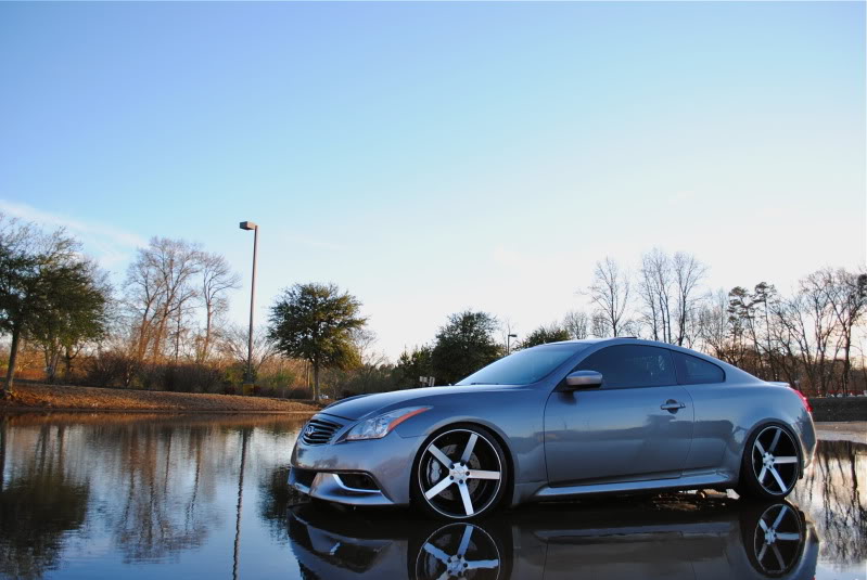 Name:  DSC_0573_zpsbbd0fff3.jpg
Views: 277
Size:  73.9 KB