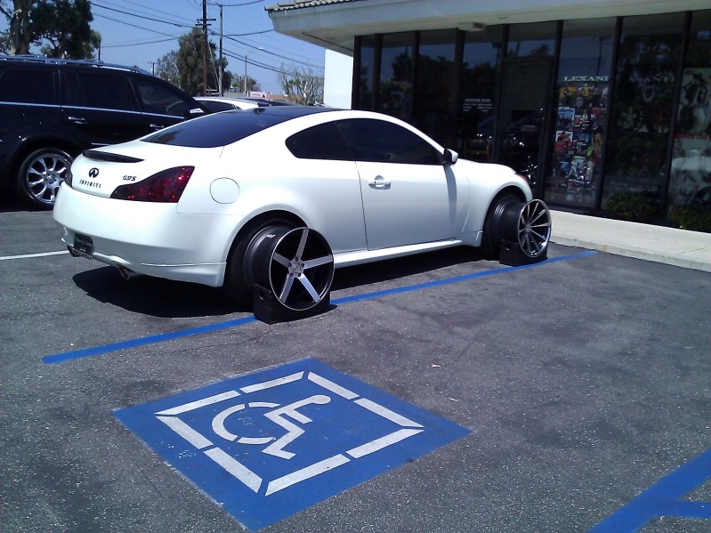 Name:  vossen.jpg
Views: 496
Size:  176.2 KB