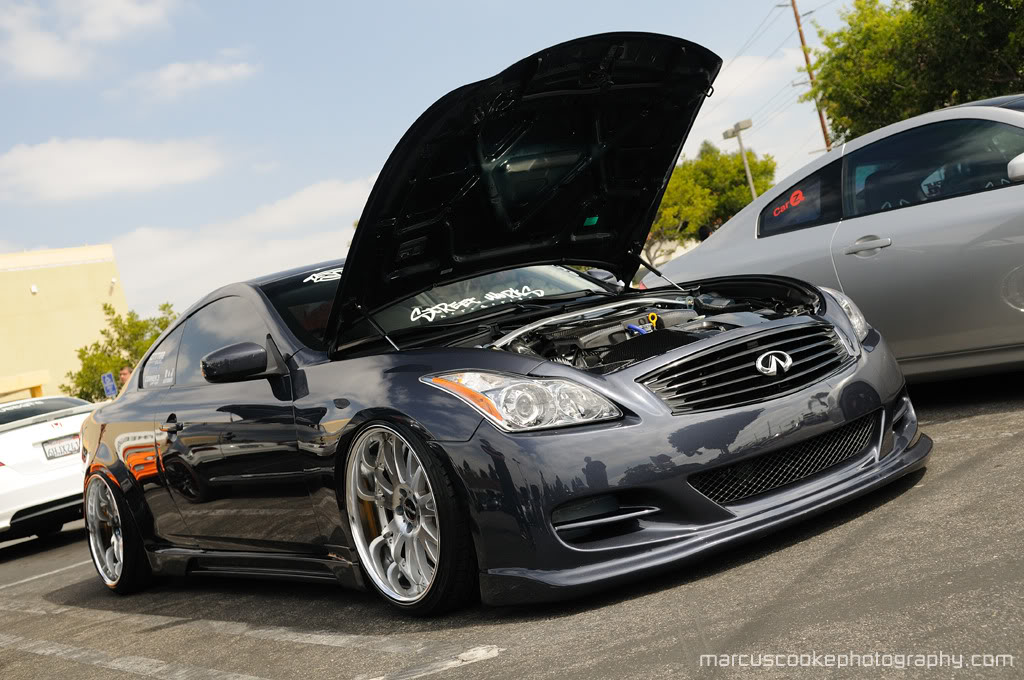 Name: DSC_4327copy.jpg
Views: 1082
Size: 164.5 KB