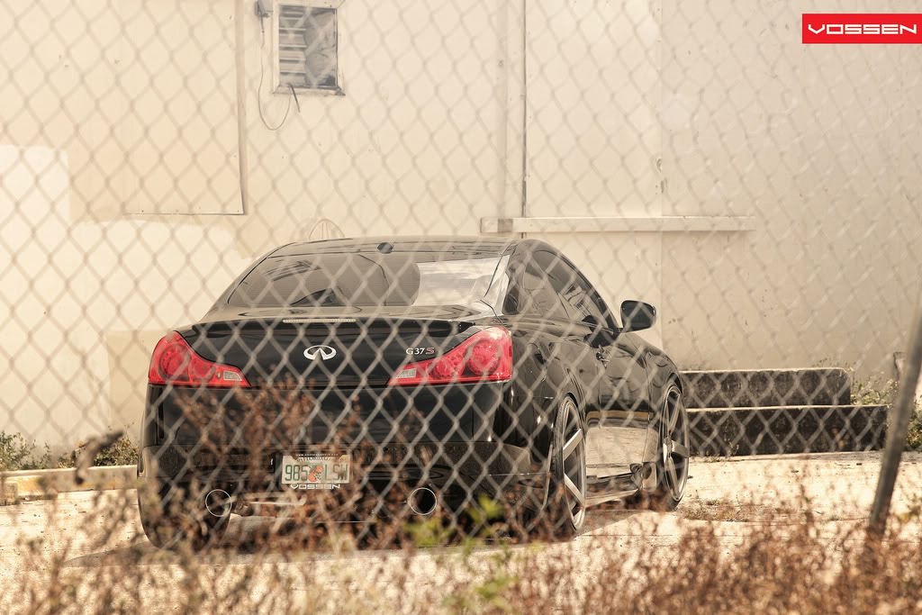 Name:  4dceb93d.jpg
Views: 294
Size:  131.3 KB