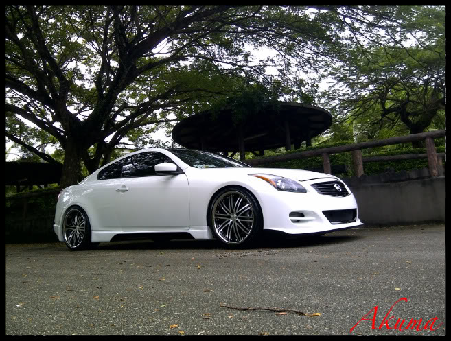 Name:  IMG-20110101-00133.jpg
Views: 314
Size:  119.1 KB