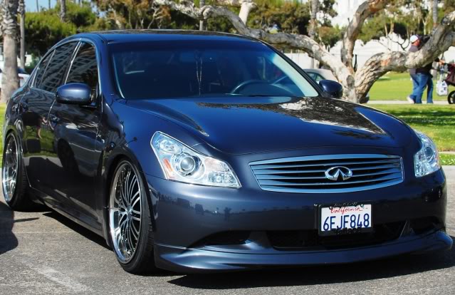 Name:  DSC_6066_cropped.jpg
Views: 197
Size:  67.6 KB