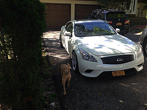 The OFFICIAL "I have a wheel offset / tire fitment question!" thread-photo4294966523.jpg