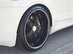 All black vossens-sdc10125.jpg