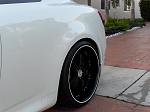 All black vossens-sdc10132.jpg