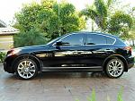 All black vossens-sdc10130.jpg